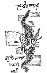Khule Alav Pakai Ghati by Harish Gadhani
