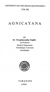 Agnichayana by विशम्भरनाथ त्रिपाठी - Vishambharnath Tripathi