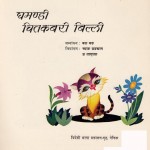 GHAMANADI CHITKABRI BILLI CHINESE CHILDREN'S BOOK by अरविन्द गुप्ता - Arvind Guptaकड़ कड़ -KAD KAD