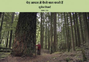 HOW DO TREES TALK TO EACH OTHER by आशुतोष भाकुनी - AASHUTOSH BAKUNIपुस्तक समूह - Pustak Samuhसुजैन सिमर्द - SUSSANE SIMARDH