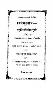 Savyam Bhustort  by जिनदास पार्श्वनाथ - Jindaas Parshwanath