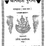 Shree Ganesh Puran by पूर्णाचन्द्र कासलीवाल - Purnachandra Kaslival
