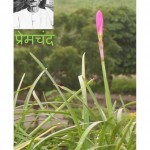 VARDAN by पुस्तक समूह - Pustak Samuhप्रेमचंद - Premchand