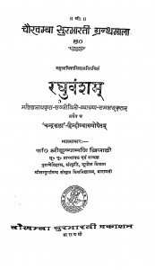 Radhuvansam  by श्रीकृष्णमणि त्रिपाठी - Shrikrishnamani Tripathi