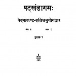 The Satkhandagama Vol-ix by हीरालाल जैन - Heeralal Jain