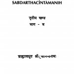 Sabdartha Chintamani by ब्राह्मावधूत श्रीसुखानन्दनाथ - Brahmavadhut Shreesukhanandannath
