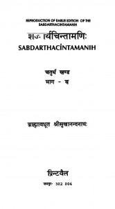 Sabdartha Chintamanih  by ब्राह्मावधूत श्रीसुखानन्दनाथ - Brahmavadhut Shreesukhanandannath