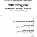 Treeni Chhedasutrani by ब्रजलाल जी महाराज - Brajalal Ji Maharaj