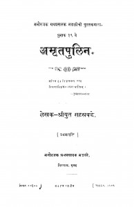 Amritapulin by श्रीयुत सहस्त्रबुद्धे - Sriyut Sahastrabuddhe