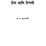 Tiipa Aani Tippani by वा. ळ. कुळकर्णी - Va. L. Kulkarni