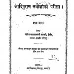 Aadipuran Samiksha ki Priksha Pratham Bhag by लालारामजी शास्त्री - Lalaramji Shastri