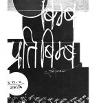 Bimb Pratibimb by राम जैसवाल - Ram Jaisaval