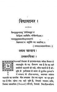 Vidhyasagar (Jeevancharit) by अज्ञात - Unknown