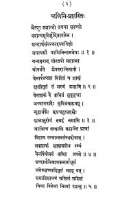 Panineeya Vyakaran Ka Anusheelan by रामशंकर भट्टाचार्य - Ramshankar Bhattacharya