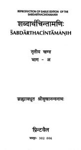 Shabdarth Chintamanih  by ब्राह्मावधूत श्रीसुखानन्दनाथ - Brahmavadhut Shreesukhanandnath
