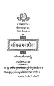 Shrimad Bhagvad Geeta by हंस्स्वरूपी महाराज - Hansswaroopi Maharaj