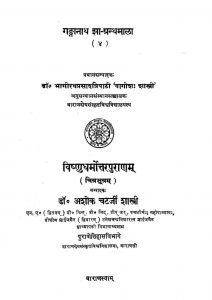 विष्णुधर्मोत्तर पुराणम् - Vishnudharmottar Puranam