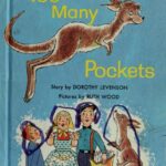 Too Many Pockets by Dorothy Levenson