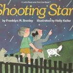 Tootate Taare (Shooting Stars) by Franklyn M. Branley