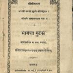 Bhagavat Gutka  by सीता राम शरण भगवान् ‌प्रसाद- Sita Ram Sharan Bhagwan Prasad