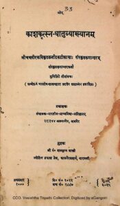 Book Image : काशकत्स्न-धातुब्याख्यानम्‌   - Kaashaakritsna - Dhaatuvyaakhyaanam