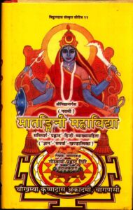 मातङ्गिनी महाविद्या - Matangi mahavidhya Book Image : मातङ्गिनी महाविद्या - Matangi mahavidhya