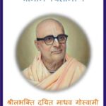 Shri naam Chintamani  by माधव गोस्वामी महाराज - Madhav Goswami maharaj