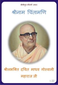 Book Image : श्रीनाम चिंतामणि - Shri naam Chintamani 