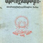Vedanta Sutra Vaidic Vritti by श्रीमत्पण्डित स्वामि हरिप्रसाद वैदिक मुनि- Shrimt Pandit Swami Hariprasad Vaidik Muni