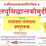 Laghu Siddhant Kaumudi  by ब्रजभूषण - Brajbhushan